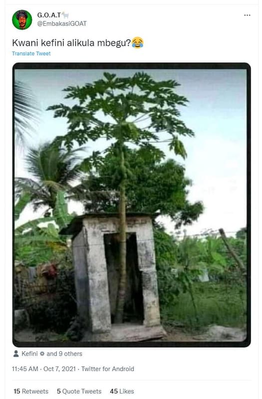 G.o.a.t embakasigoat kwani kefini alikula mbegu? translate tweer kefini and 9 ot