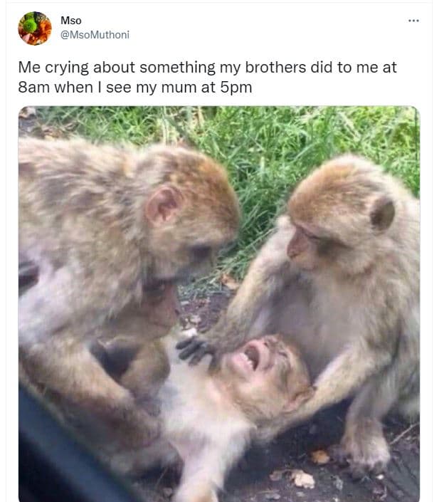 Mso msomuthoni me crying about something my brothers did to me at 8am when see m