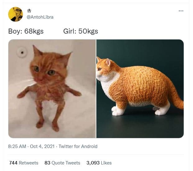 Antohlibra boy 68kgs girl 5okgs 8.25 am . oct 4, twitter for android 744 retweet