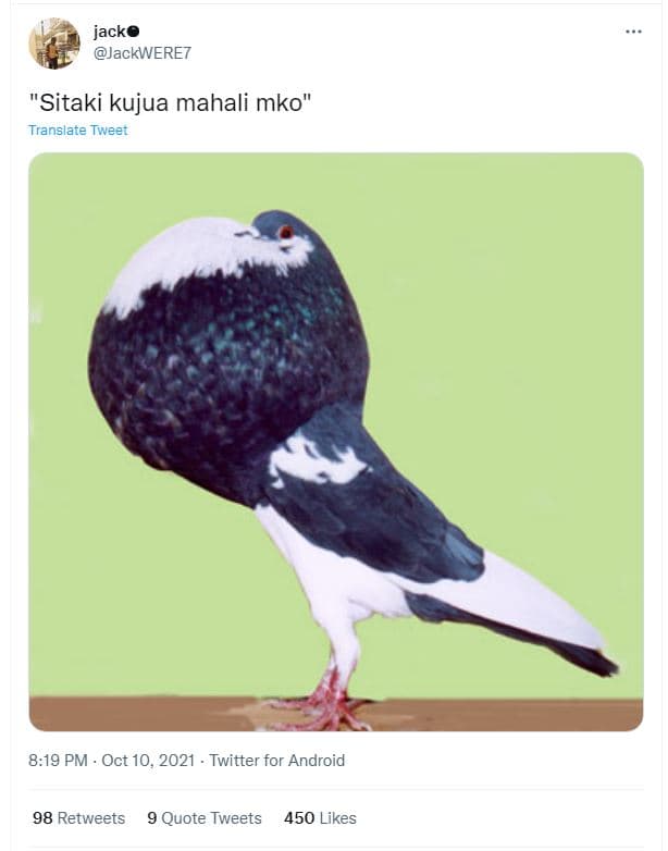 Jacke jackwere7 sitaki kujua mahali mko translate tweet 819 pm oct 10, twitter f