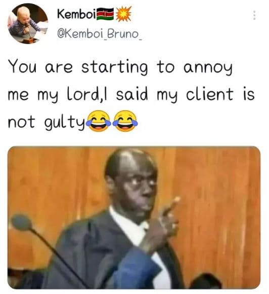 Kemboie kemboi bruno you are starting to annoy me my lord, said my client is not