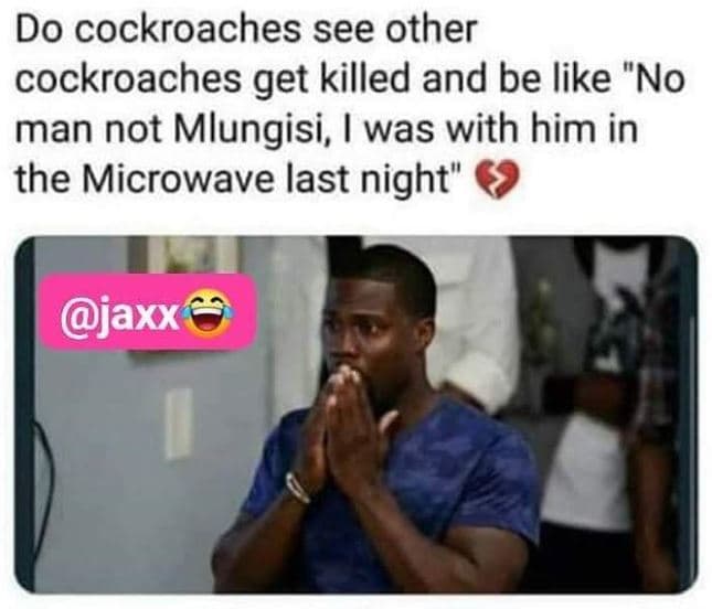 Do cockroaches see other cockroaches get killed and be like no man not mlungisi,