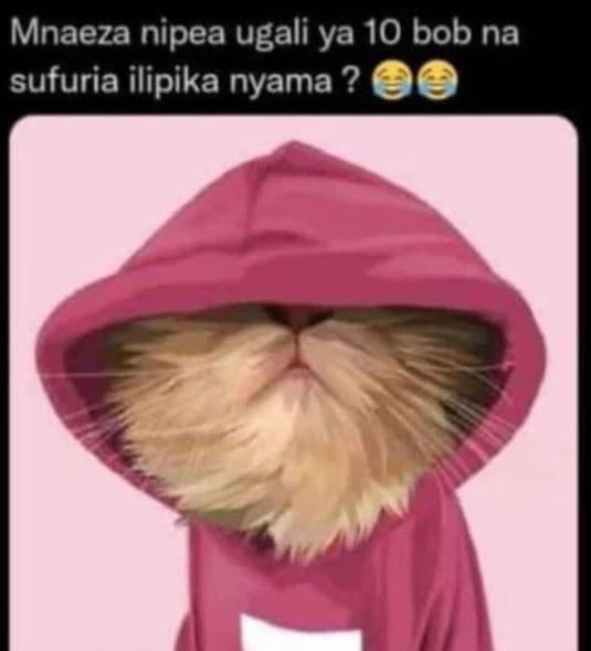 Mnaeza nipea ugali ya 10 bob na sufuria ilipika nyama ?