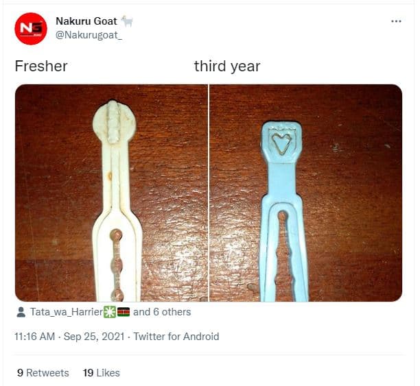 Nakuru goat nakurugoat_ fresher third year tata_wa_harries and 6 others 11.16 am