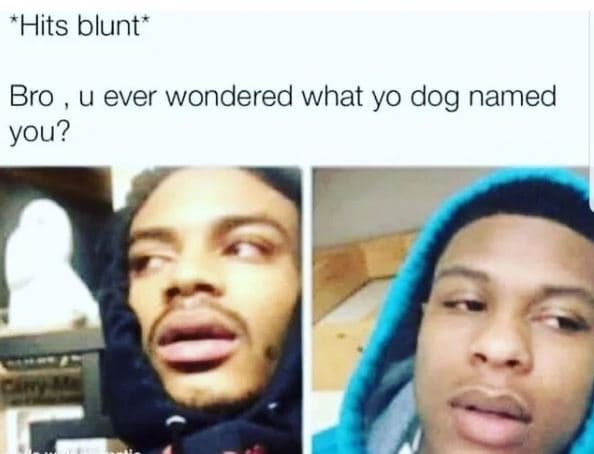 'hits blunt' bro u ever wondered what yo dog named you?