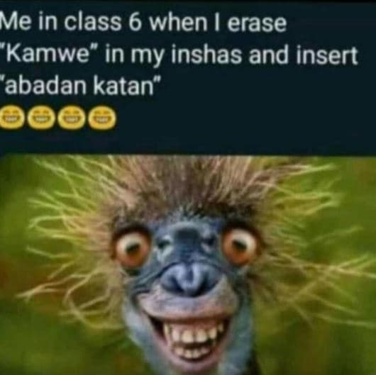 Me in class 6 when erase 'kamwe in my inshas and insert 'abadan katan