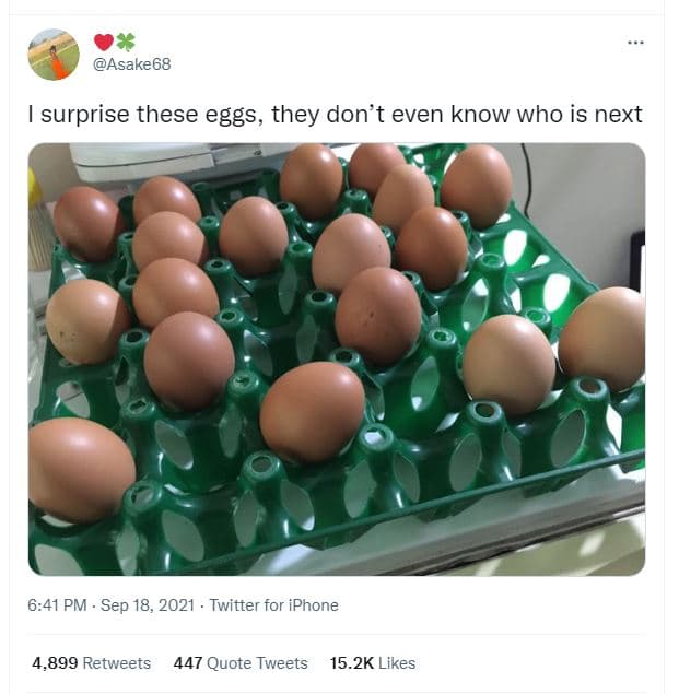 Asake68 surprise these eggs, they don't even know who is next 6.41 pm sep 18, tw