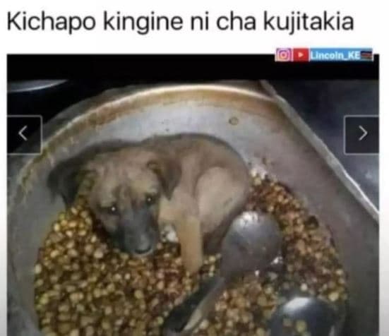 Kichapo kingine ni cha kujitakia ocohn