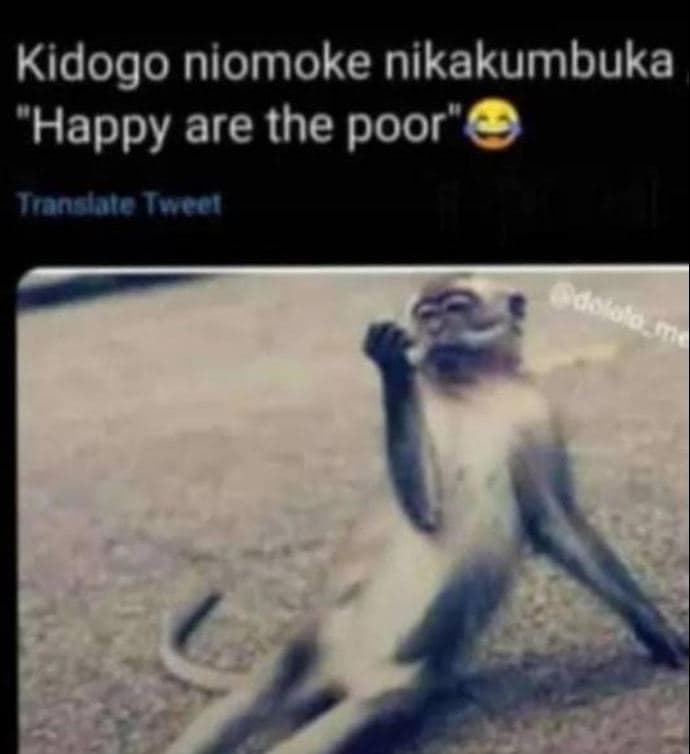 Kidogo niomoke nikakumbuka happy are the poor' 8 janalate tovce 1