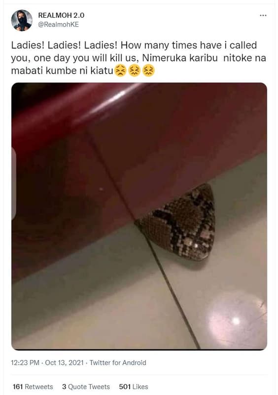 Realmoh 2.0 realmohke ladies! ladies! ladies! how many times have i called you,