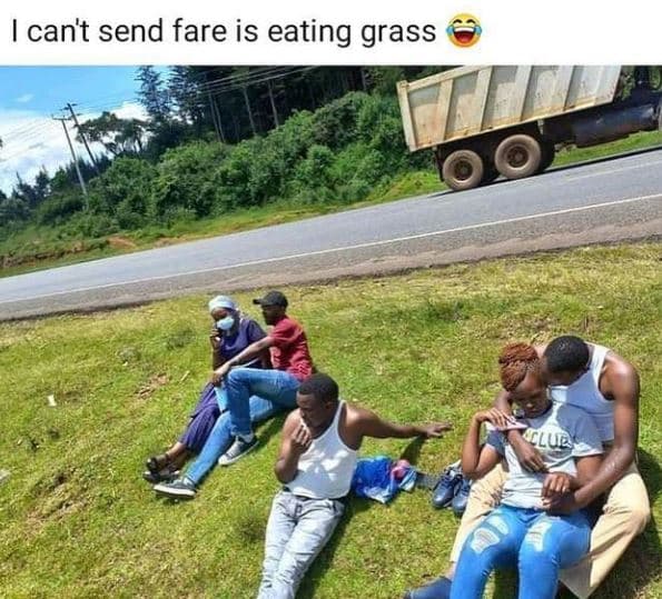 Cant send fare is eating grass lue