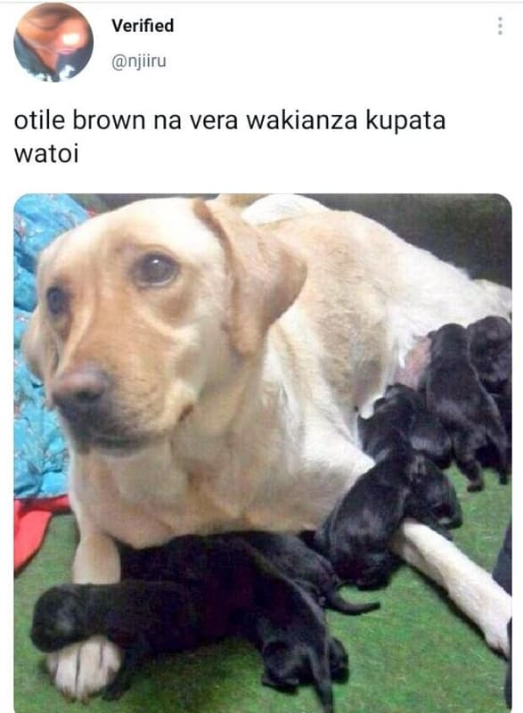 Verified njiiru otile brown na vera wakianza kupata watoi