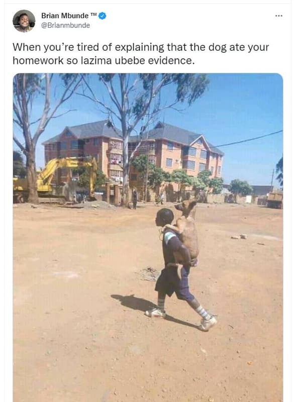 Brian mbunde tm brianmbunde when you're tired of explaining that the dog ate you