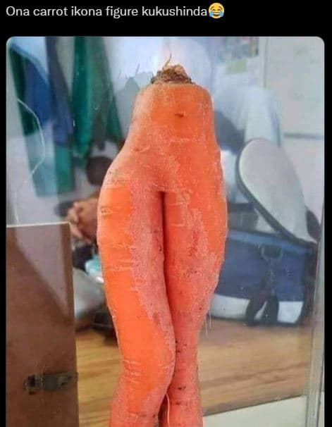 Ona carrot ikona figure kukushinda