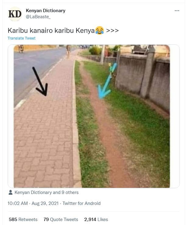Kenyan dictionary kd labeaste karibu kanairo karibu kenya translate tweet kenyan