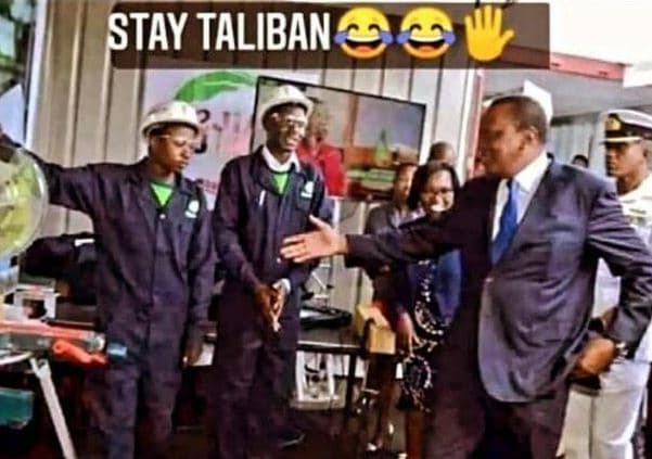 Stay taliban
