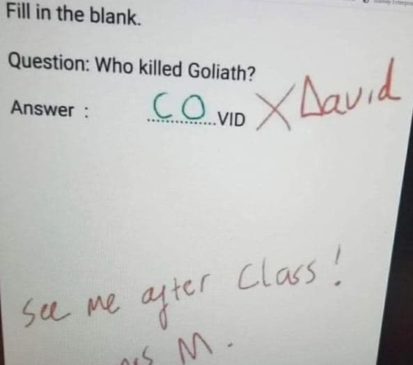 Fill in the blank question who killed goliath? aav d answer co vid class su me 4