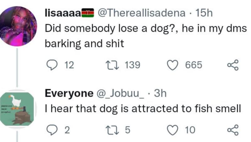 Lisaaaa thereallisadena 15h did somebody lose a dog? , he in my dms barking and