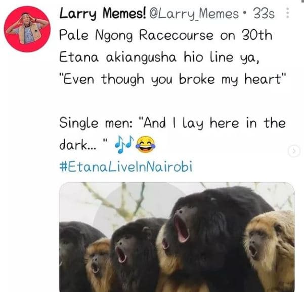 Larry memes! larry_memes 33s pale ngong racecourse on 3oth etana akiangusha hio