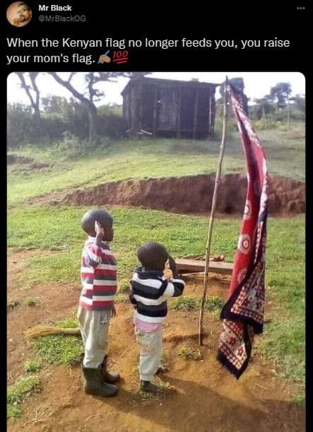 Mr black mrblackog when the kenyan flag no longer feeds you you raise your mom's