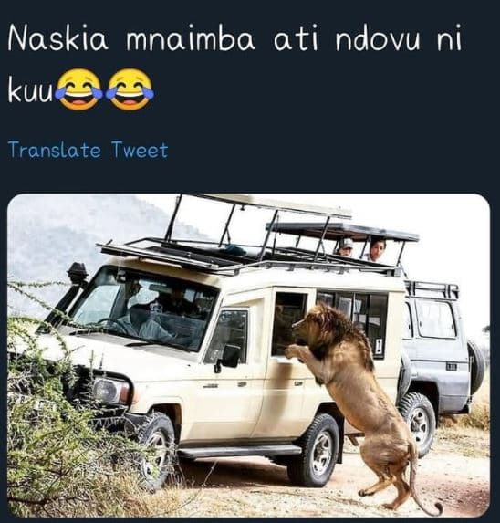 Naskia mnaimba ati ndovu ni kuu translate tweet