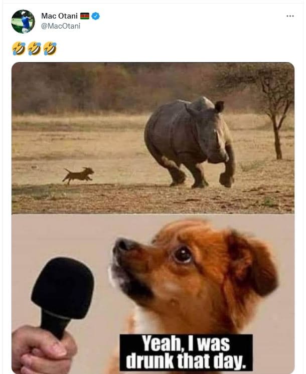 Mac otani macotani 919 feah, was drunk that day