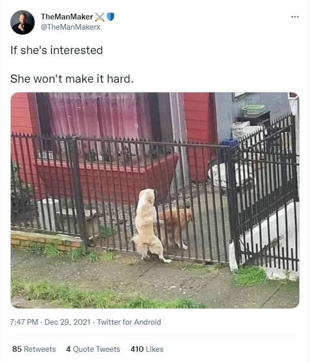 Themanmaker themanmakerx if she's interested she won't make it hard 747 pm dec 2