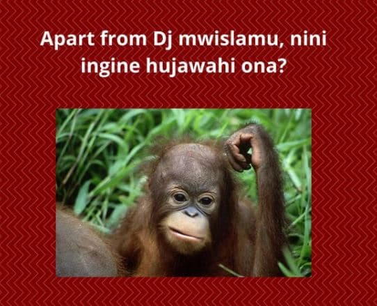 Apart from dj mwislamu, nini ingine hujawahi ona?
