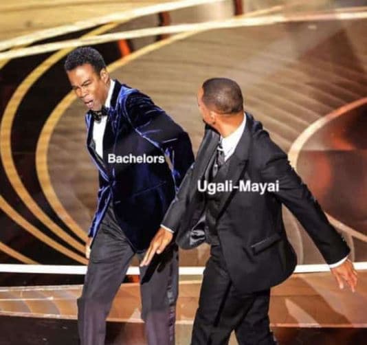 Bachelors ugalimayai