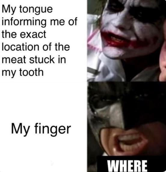 My tongue informing me of the exact location of the meat stuck in my tooth my fi
