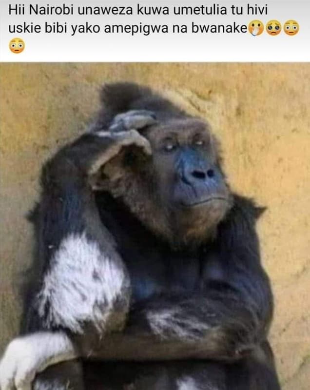 Hii nairobi unaweza kuwa umetulia tu hivi uskie bibi yako amepigwa na bwanake