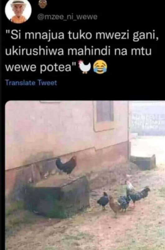 Mzee_ni_wewe si mnajua tuko mwezi gani, ukirushiwa mahindi na mtu wewe potea' tr