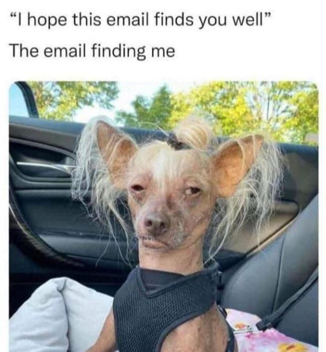 I hope this email finds you well the email finding me