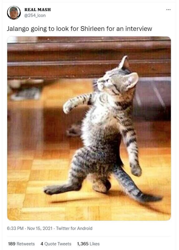 Real mash 254_icon jalango going to look for shirleen for an interview 633 pm no