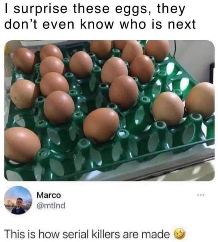 1 surprise these eggs, they don't even know who is next marco mtind this is how