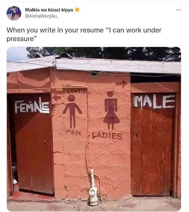 Malkia wa kizazi kipya aishawanjiku _ when you write in your resume 1 can work u