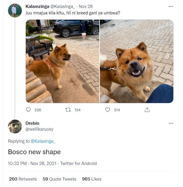 Kalamzinga kalasinga_ nov 28 juu mnajua kila kitu hii ni breed gani ya umbwa? 22