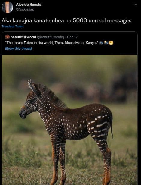 Aleckie ronald sirklexas aka kanajua kanatembea na unread messages vianaate ivee