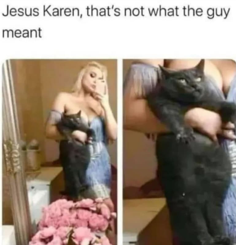Jesus karen that's not what the guy meant