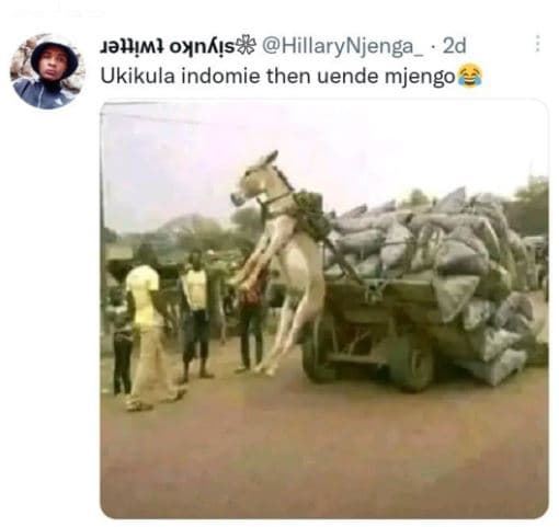 Jahmł oxnáıs hillarynjenga 2d ukikula indomie then uende mjengo