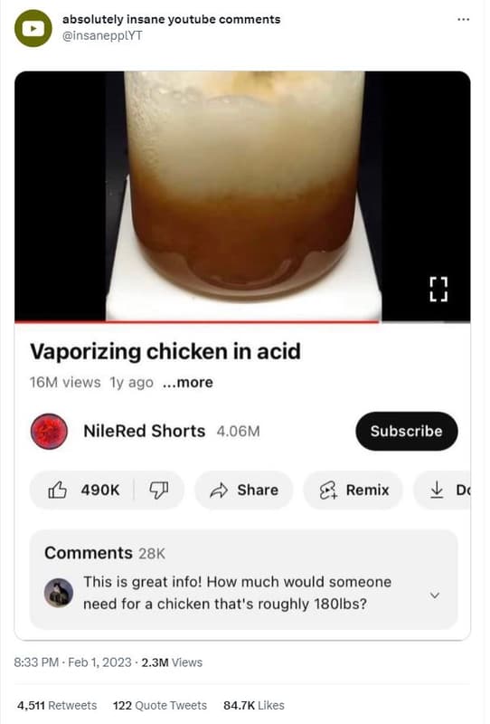 Absolutely insane youtube comments insanepplyt 1 vaporizing chicken in acid 16m
