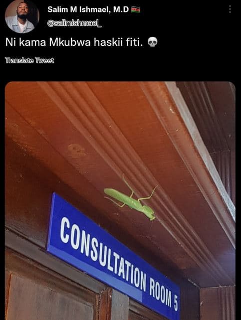 Salim m ishmael, m.d sallimishmael ni kama mkubwa haskii fiti. translata iweac c