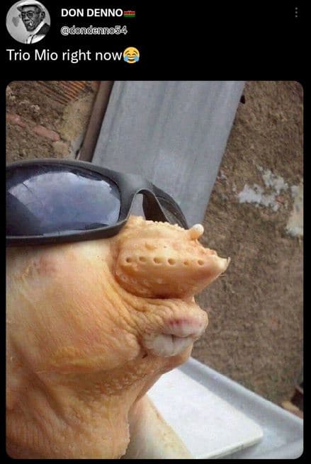 Don denno dondenno54 trio mio right now