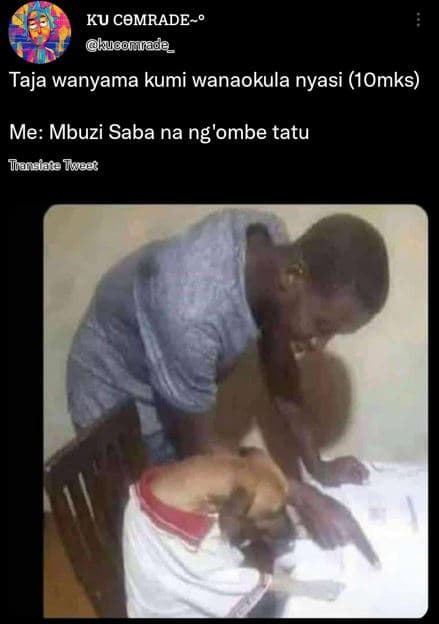 Ku comrade kugomnade_ taja wanyama kumi wanaokula nyasi 1omks me mbuzi saba na n