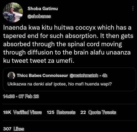 Shoba gatimu shobanes inaenda kwa kitu huitwa coccyx which has a tapered end for