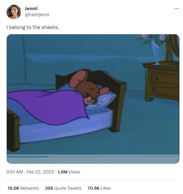 Jennii hashjenni belong to the sheets 9.51 am feb 22, 1.8m views 18.6k retweets