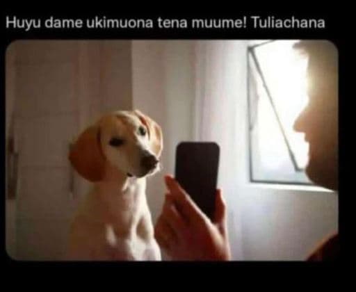 Huyu dame ukimuona tena muumel tuliachana