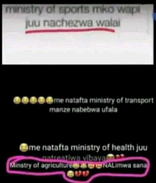 Mnuairy orcpono irovap juu nachozwawolol me natala minigtry 01 tonspori manzo na