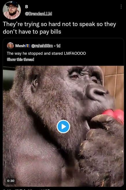 Brendanllm they're trying so hard not to speak so they don't have to pay bills m