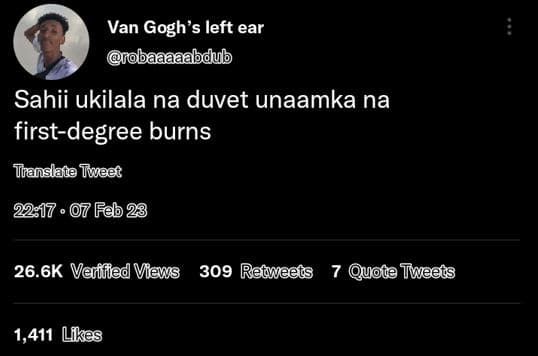 Van gogh's left ear obaaaaabdub sahii ukilala na duvet unaamka na firstdegree bu